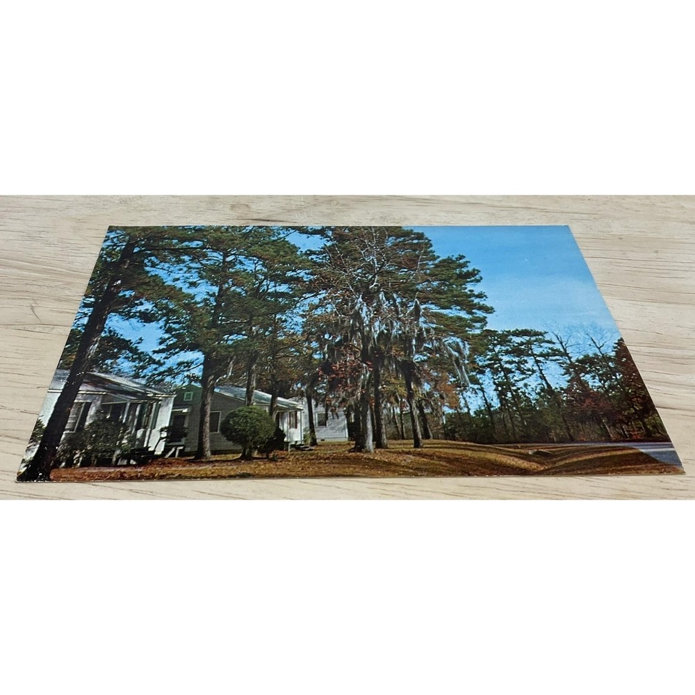 Vintage Midway Park North Carolina Helen M. Tatum Real Photo Postcard 5.5x3.5 In